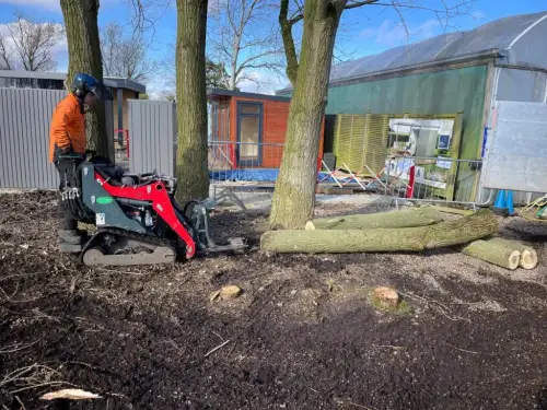 Click Here To Enlarge This Photo Of What Is the Difference Between a Tree Surgeon and an Arborist&quest;