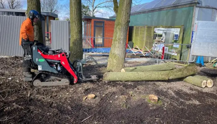 What Is the Difference Between a Tree Surgeon and an Arborist&quest;