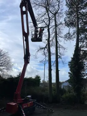 Click Here To Enlarge This Photo Of How Much Do Tree Surgeons Charge Per Hour&quest;