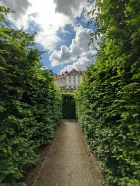 Click Here To Enlarge This Photo Of Hedge Laws And Best Practice In The UK