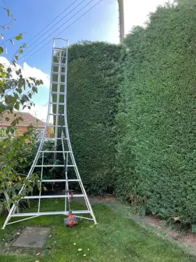 Click Here To Enlarge This Photo Of How Much Does It Cost to Cut a Hedge&quest;