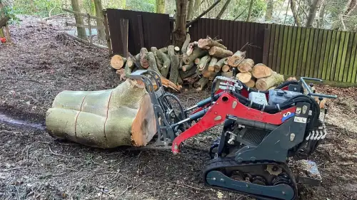 Click Here To Enlarge This Photo Of What Months Can You Not Cut Trees Down&quest;