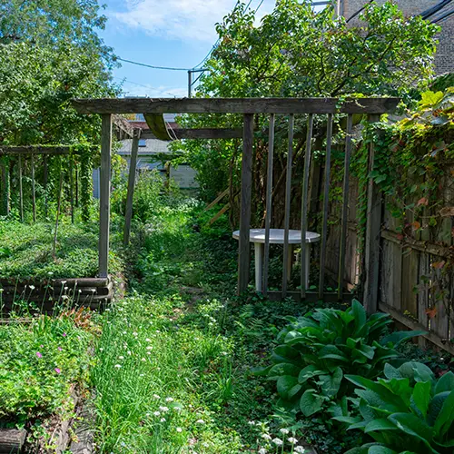 Garden Clearance Leicester