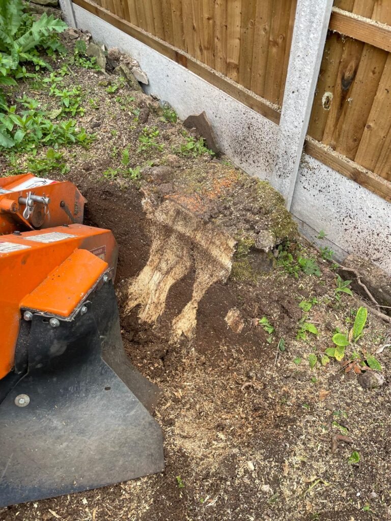 tree stump removal