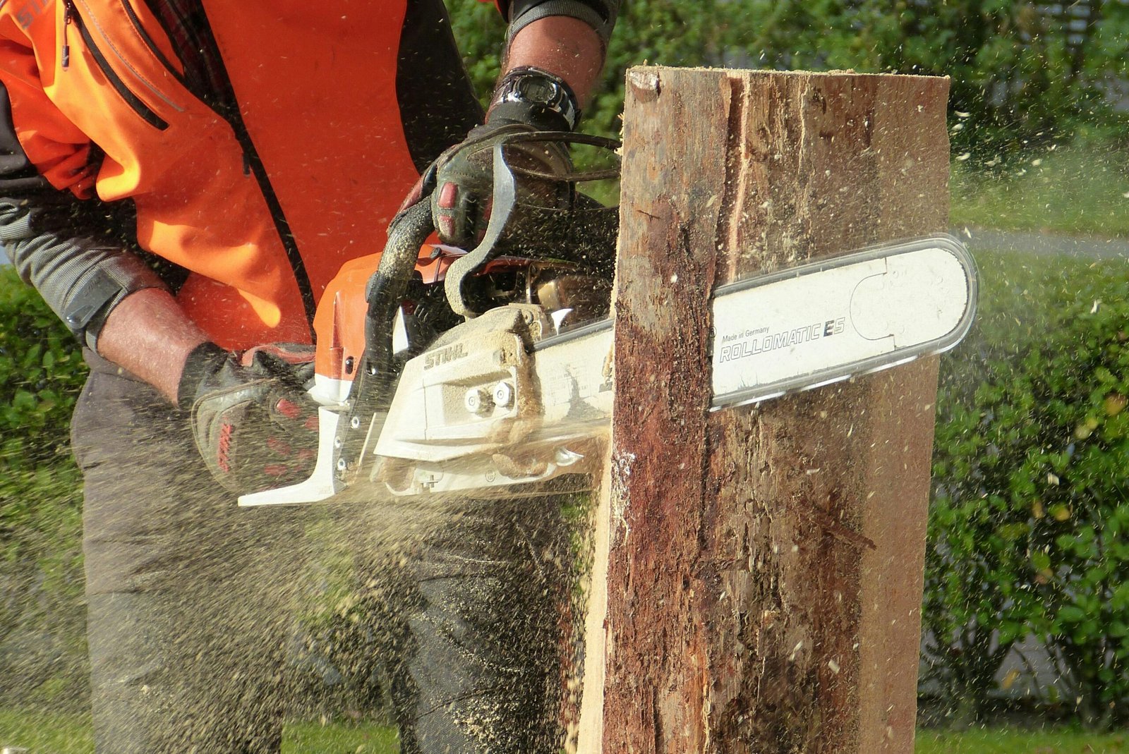 tree surgeon chainsaw