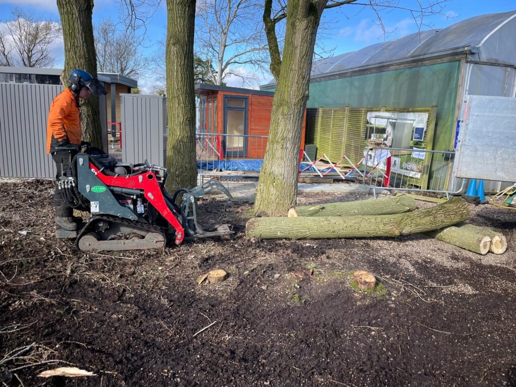 site clearance service